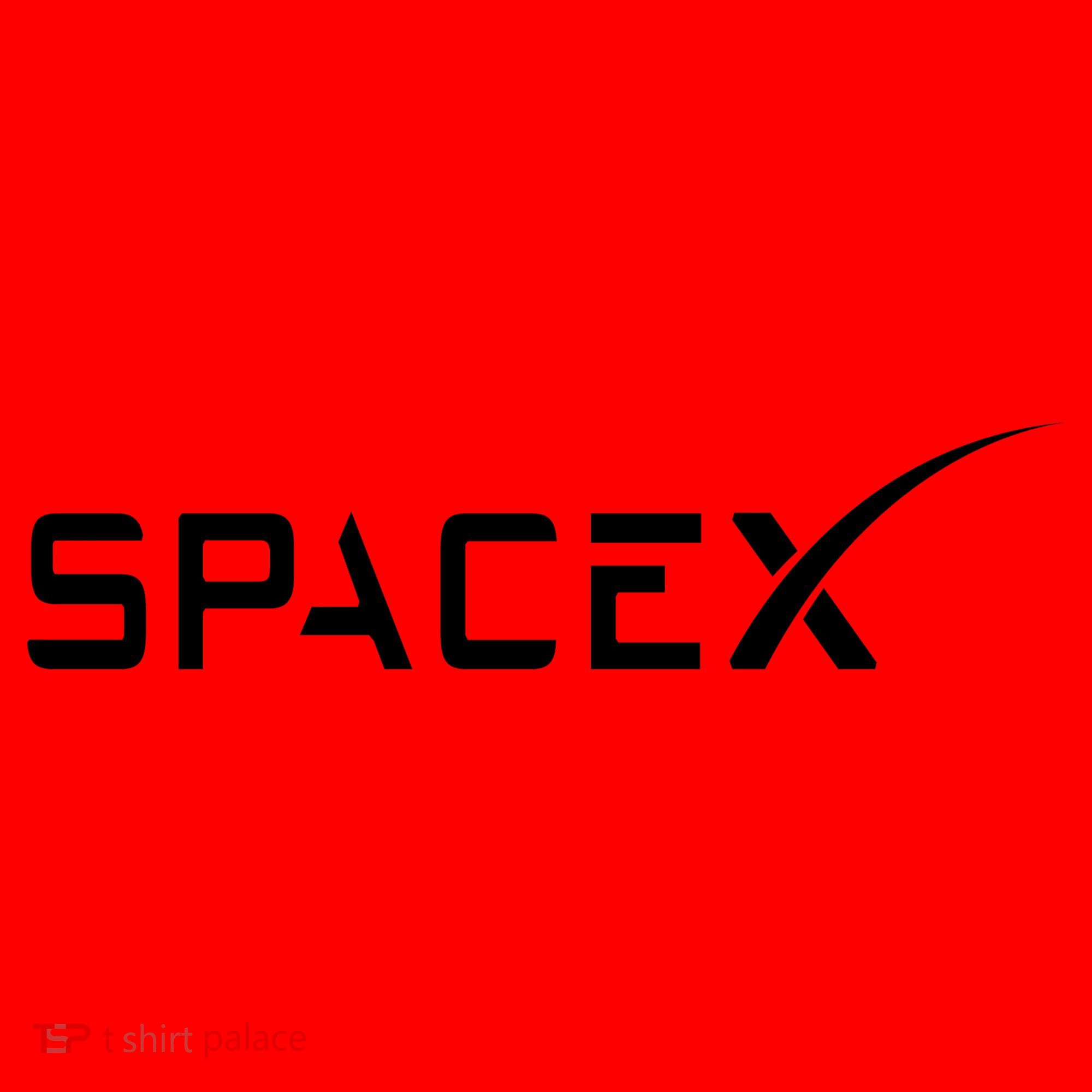 Space X Classic Logo Santa Hat