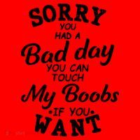 Sorry You Had A Bad Day Touch My Boobs Santa Hat thumb 1