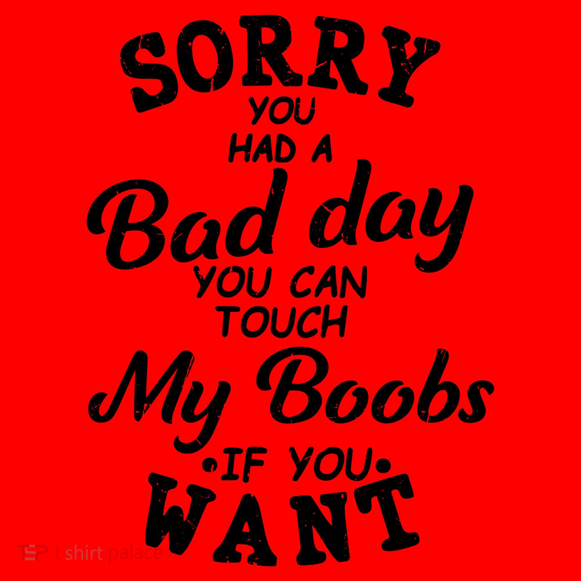 Sorry You Had A Bad Day Touch My Boobs Santa Hat