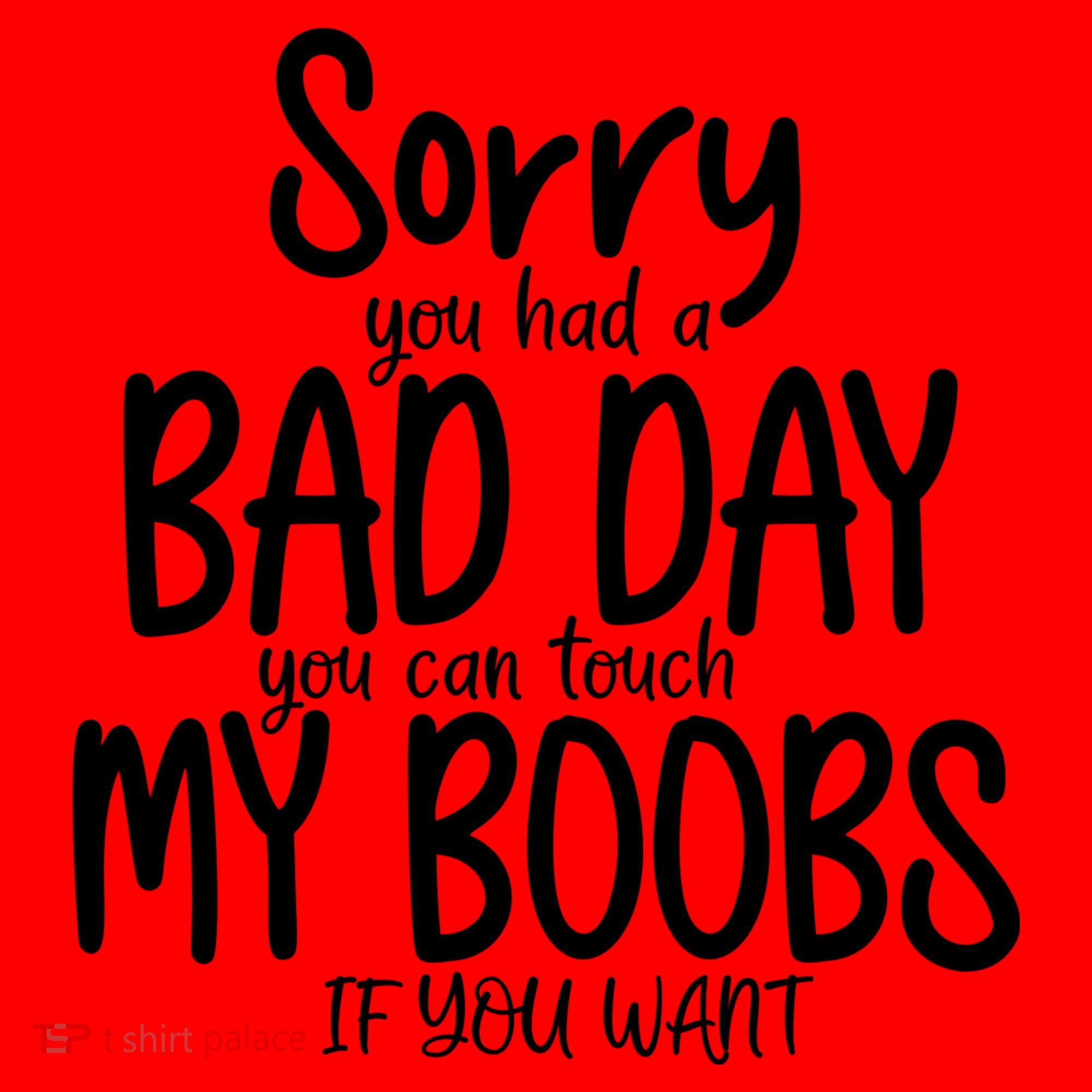 Sorry You Had A Bad Day You Can Touch My Boobs Santa Hat