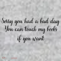 Sorry You Had A Bad Day You Can Touch My Boobs If You Want Sweatshirt thumb 2