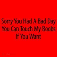 Sorry You Had A Bad Day You Can Touch My Boobs Santa Hat thumb 1