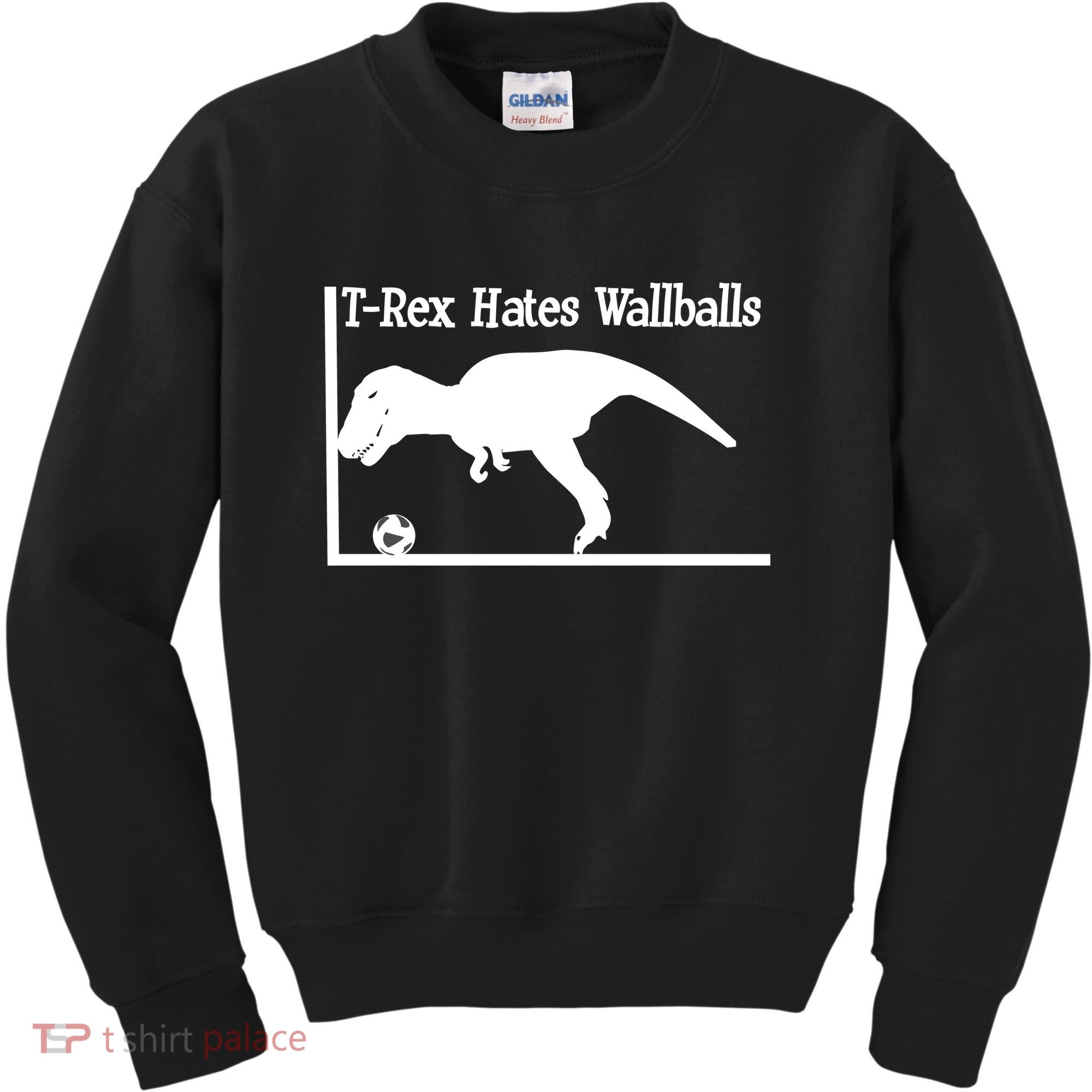 T-Rex Hates Wallballs Kids Sweatshirt