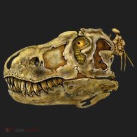 T-Rex Skull Skeleton Head Women's Sweatshirt thumb 2