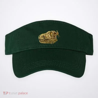 Visor