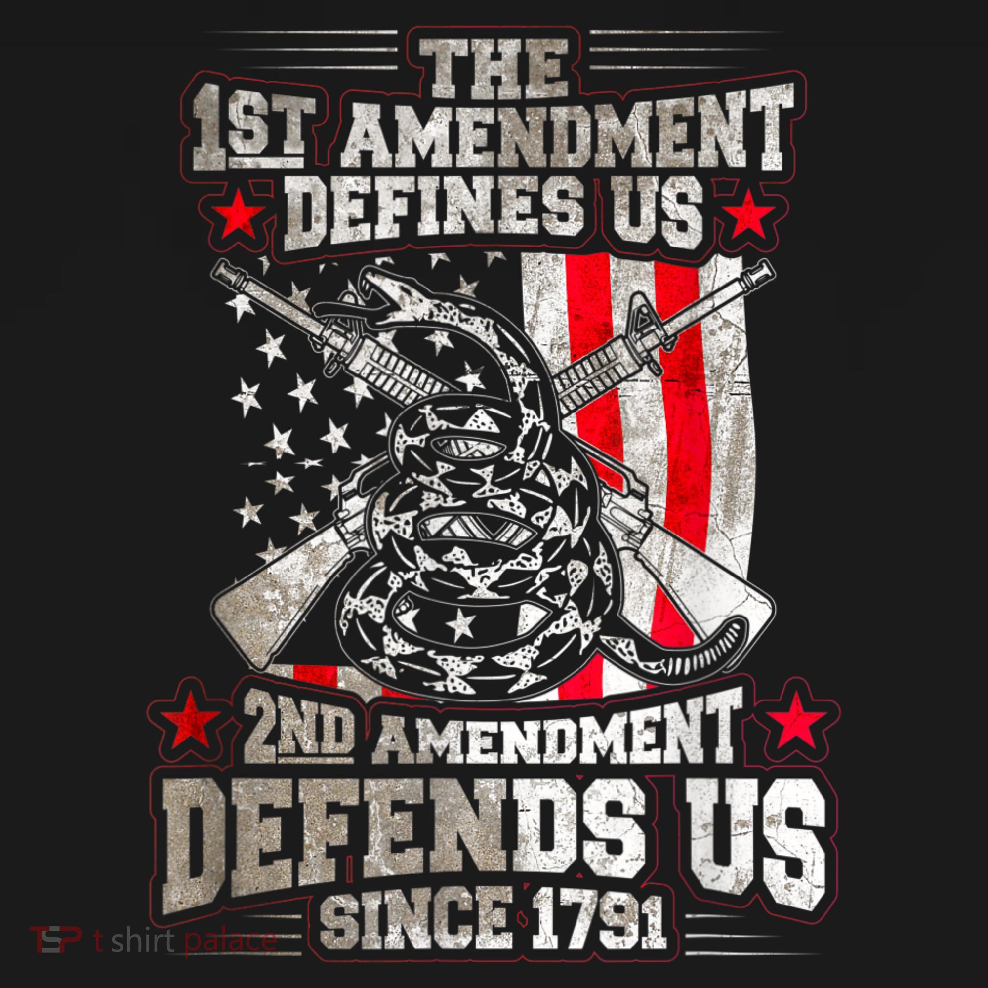 The 1st Amendment Defines Us! 2nd Amendment Defend Us! T-Shirt