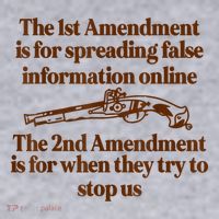 The 1st Amendment Is For Spreading False Information Online Women's Sweatshirt thumb 2