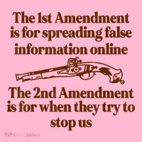 The 1st Amendment Is For Spreading False Information Online Coaster thumb 2