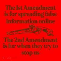 The 1st Amendment Is For Spreading False Information Online Santa Hat thumb 1