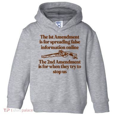 The 1st Amendment Is For Spreading False Information Online Toddler Hoodie