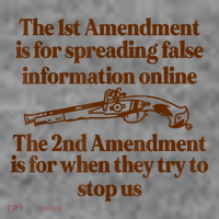 The 1st Amendment Is For Spreading False Information Online Toddler Hoodie thumb 2