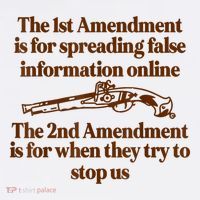 The 1st Amendment Is For Spreading False Information Online Women's Hoodie thumb 2