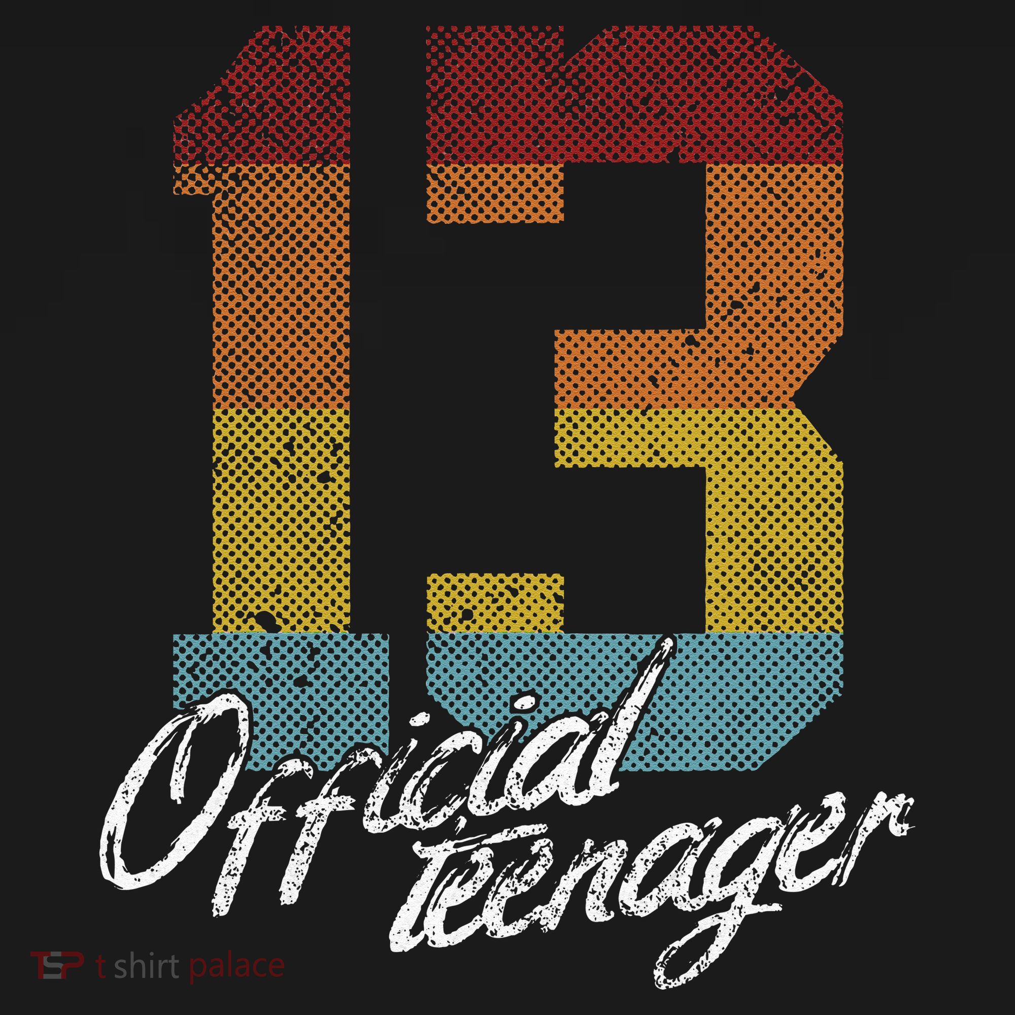 Teenager 13th Birthday 13 Year Old Gifts Women's Hoodie