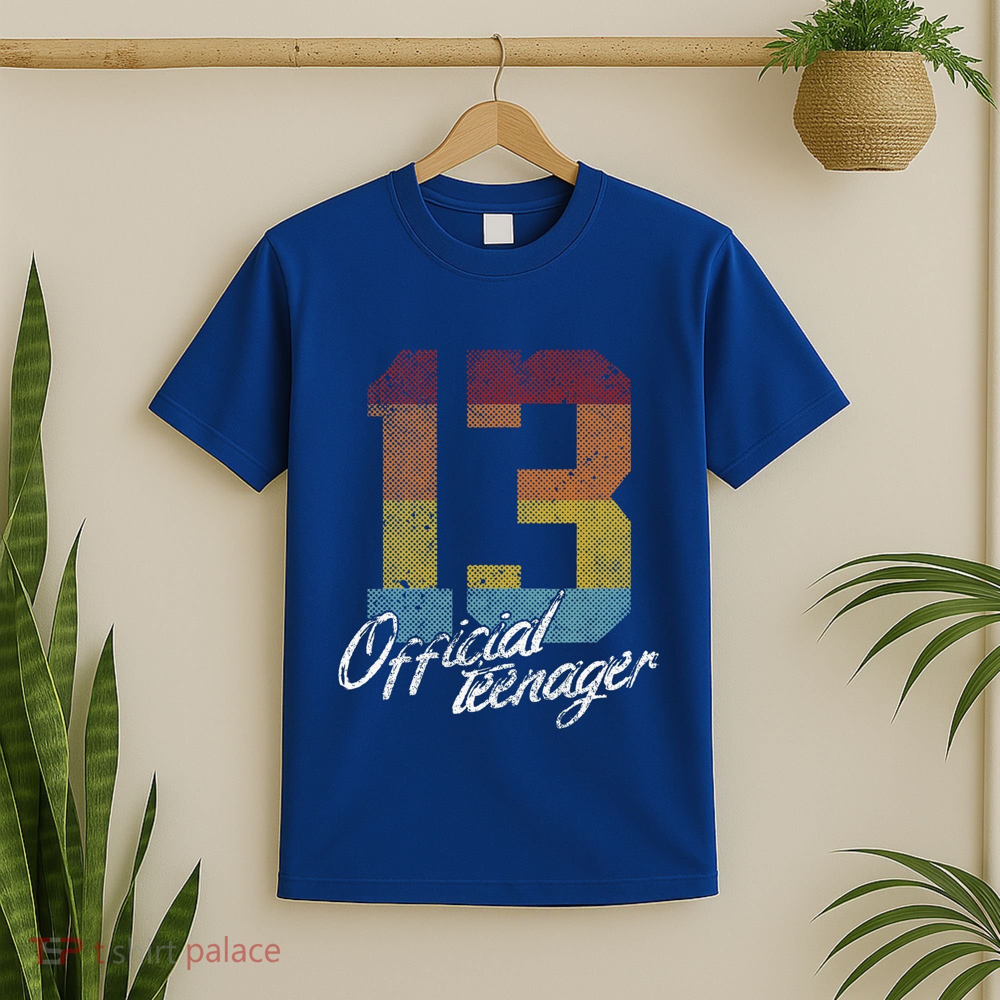 Teenager 13th Birthday 13 Year Old Gifts T-Shirt