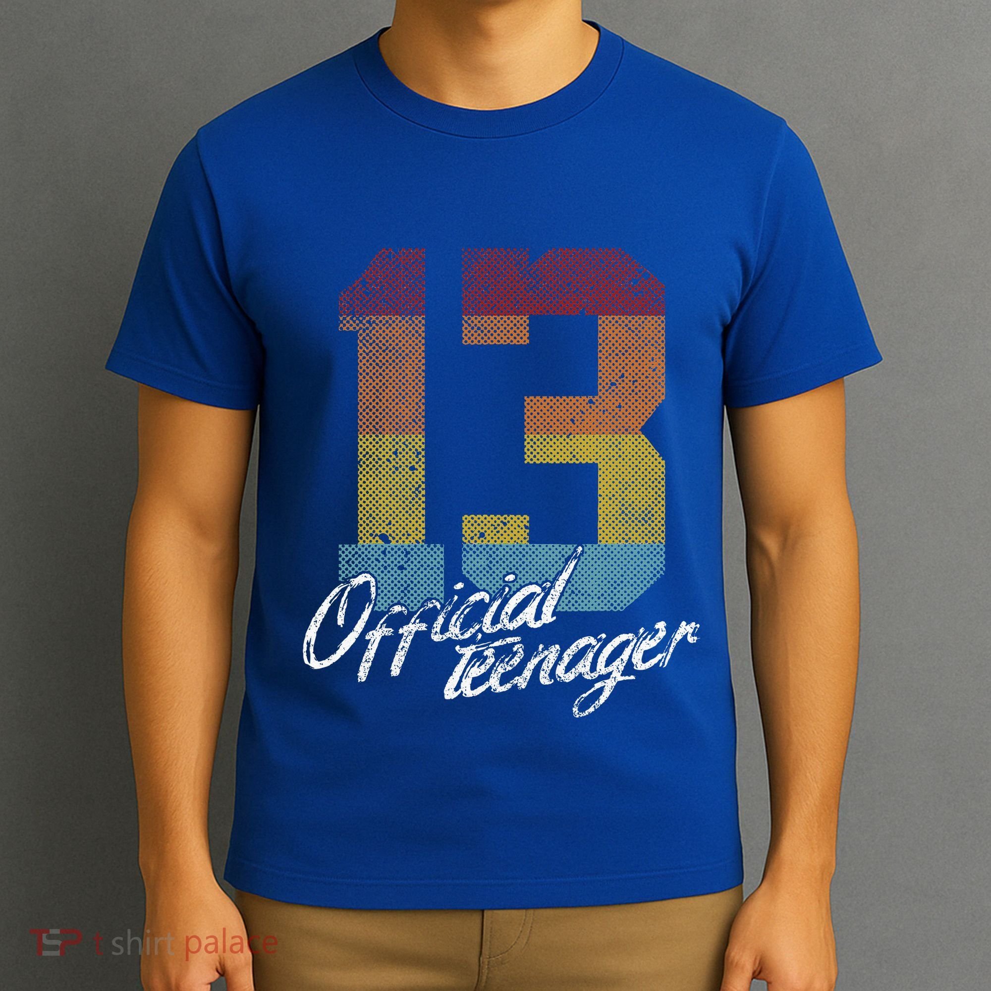 Teenager 13th Birthday 13 Year Old Gifts T-Shirt