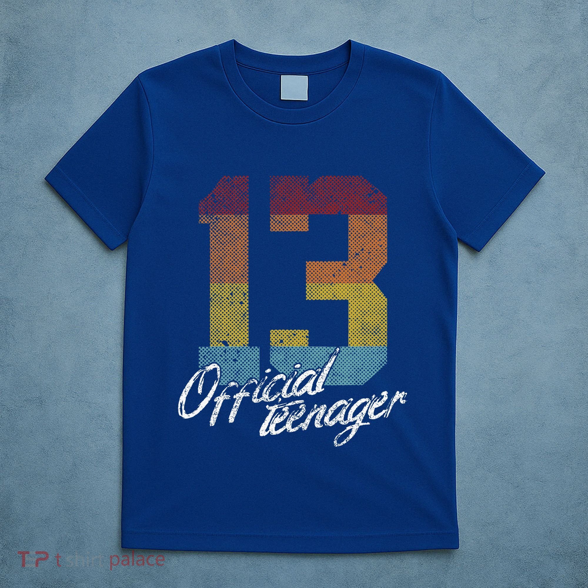 Teenager 13th Birthday 13 Year Old Gifts T-Shirt