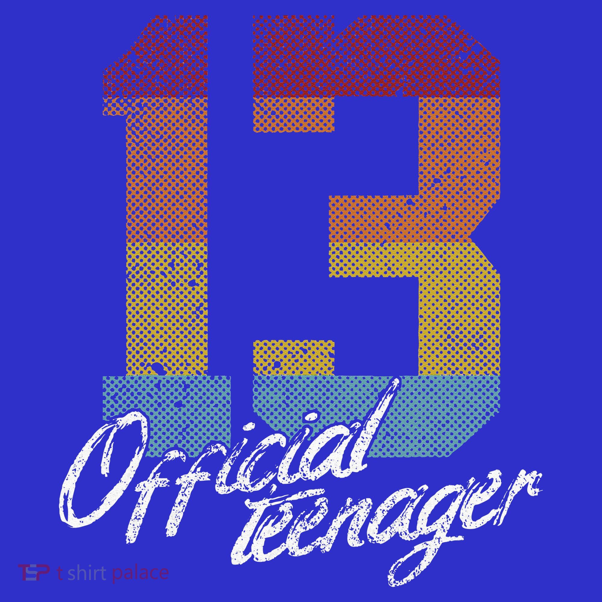 Teenager 13th Birthday 13 Year Old Gifts T-Shirt