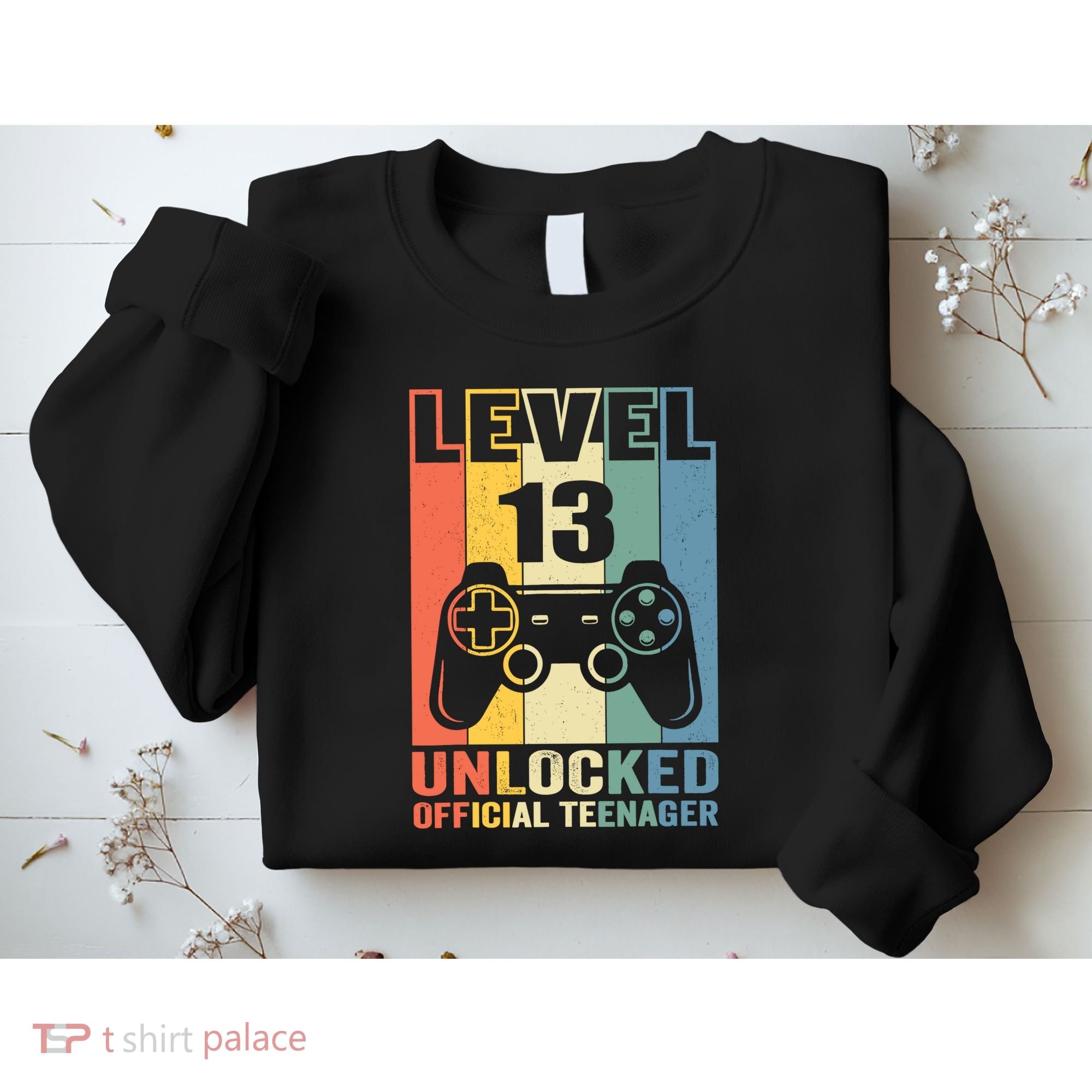 Teenager 13th Birthday Gift Level 13 Unlocked Sweatshirt