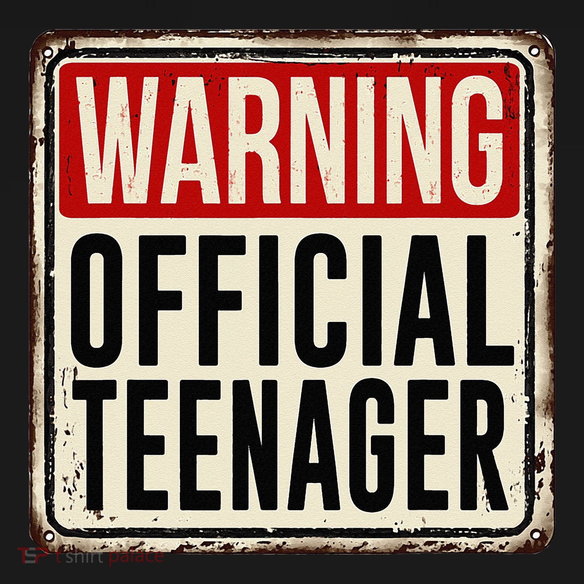 Teenager 13th Birthday Gift 13 Year Old Hoodie