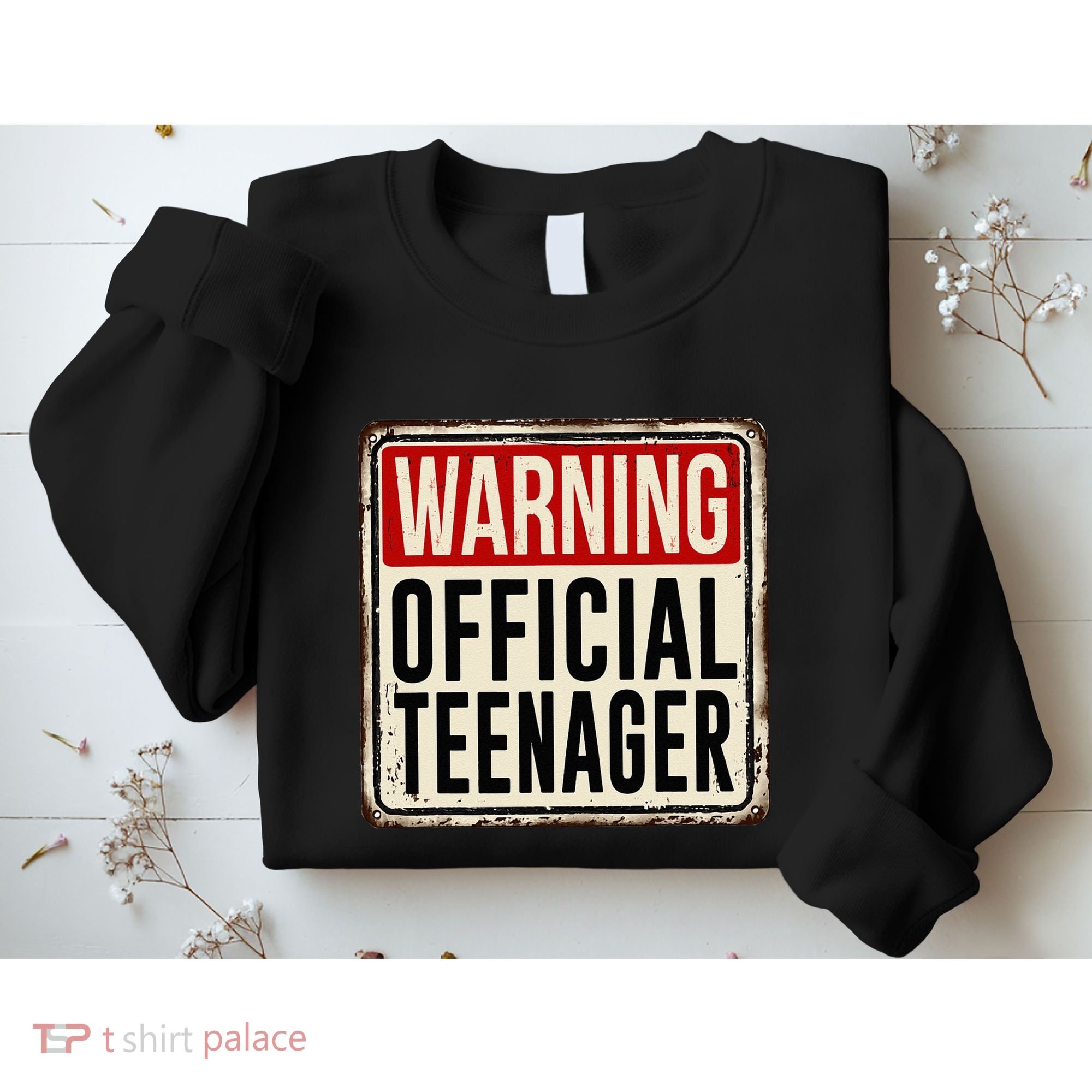 Teenager 13th Birthday Gift 13 Year Old Sweatshirt