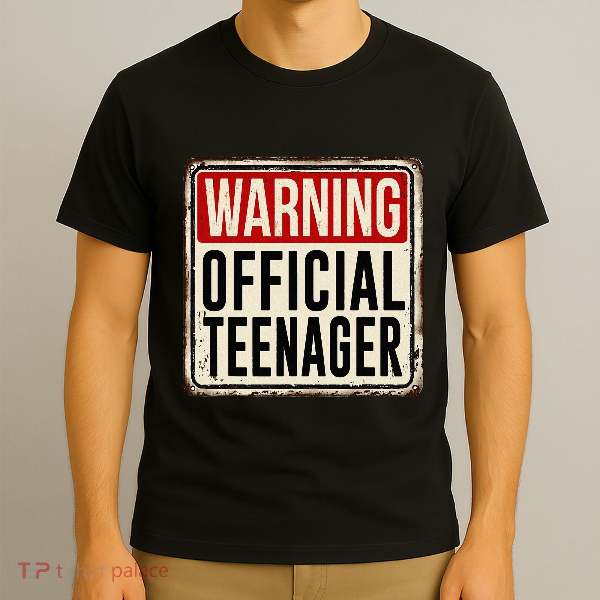Teenager 13th Birthday Gift 13 Year Old T-Shirt