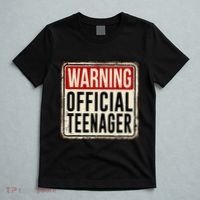 Teenager 13th Birthday Gift 13 Year Old T-Shirt thumb 5