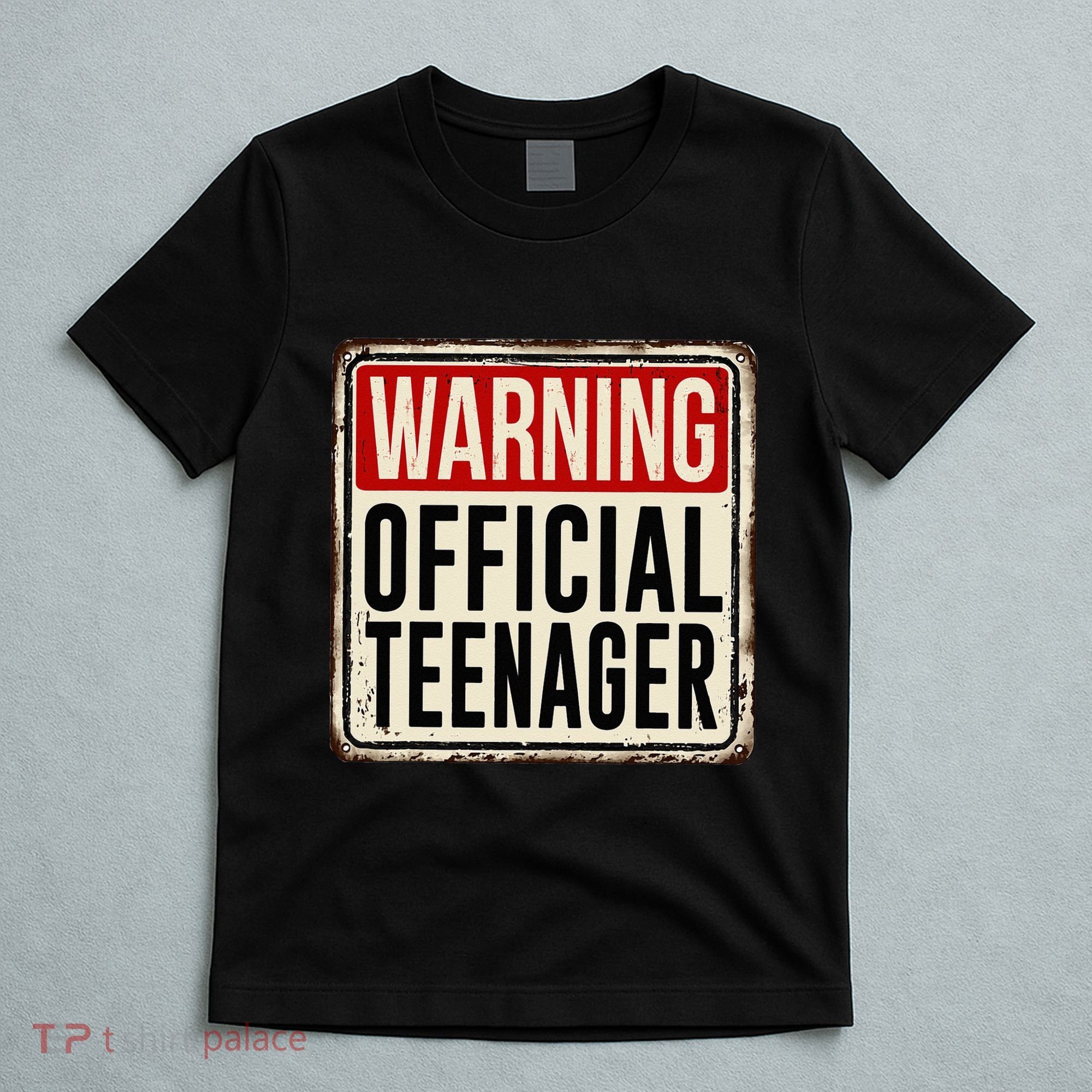 Teenager 13th Birthday Gift 13 Year Old T-Shirt