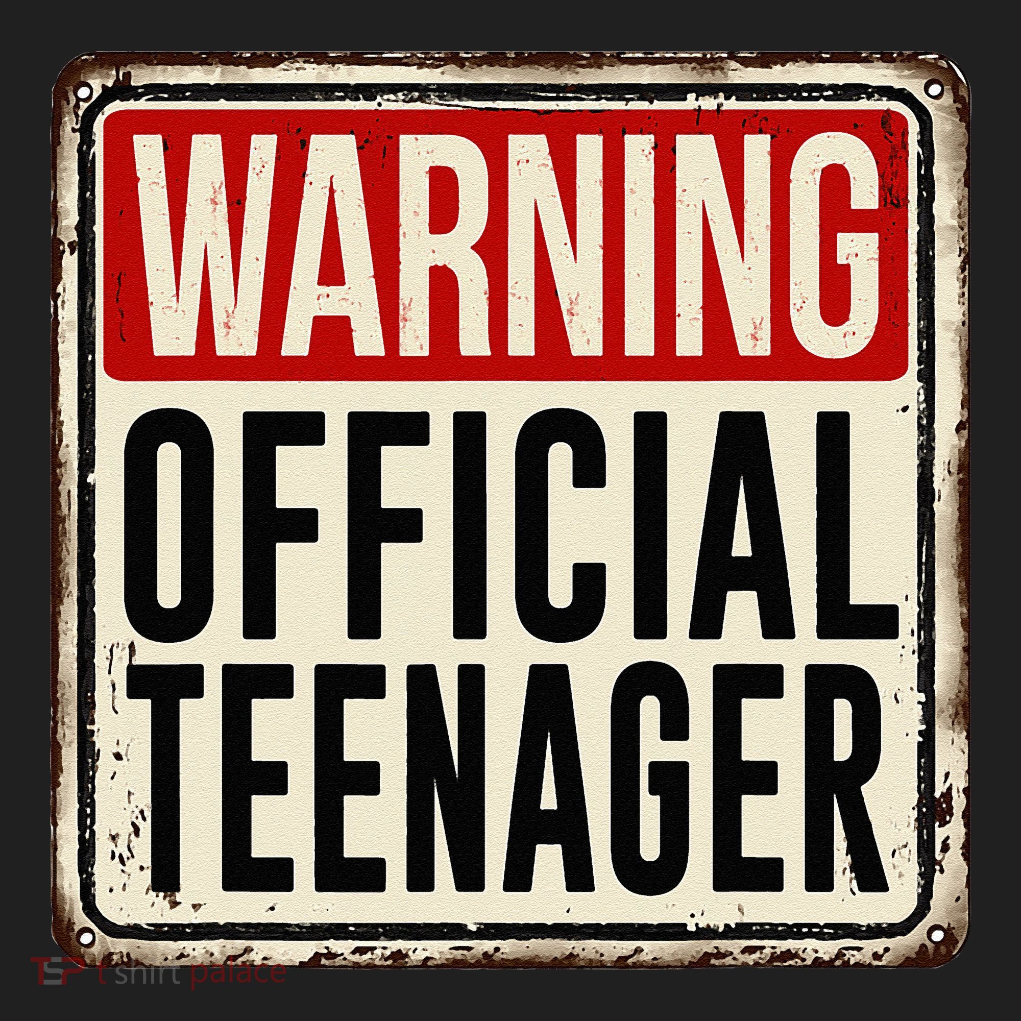 Teenager 13th Birthday Gift 13 Year Old Beanie