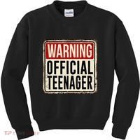 Teenager 13th Birthday Gift 13 Year Old Kids Sweatshirt thumb 0