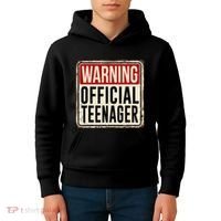 Teenager 13th Birthday Gift 13 Year Old Kids Hoodie thumb 4