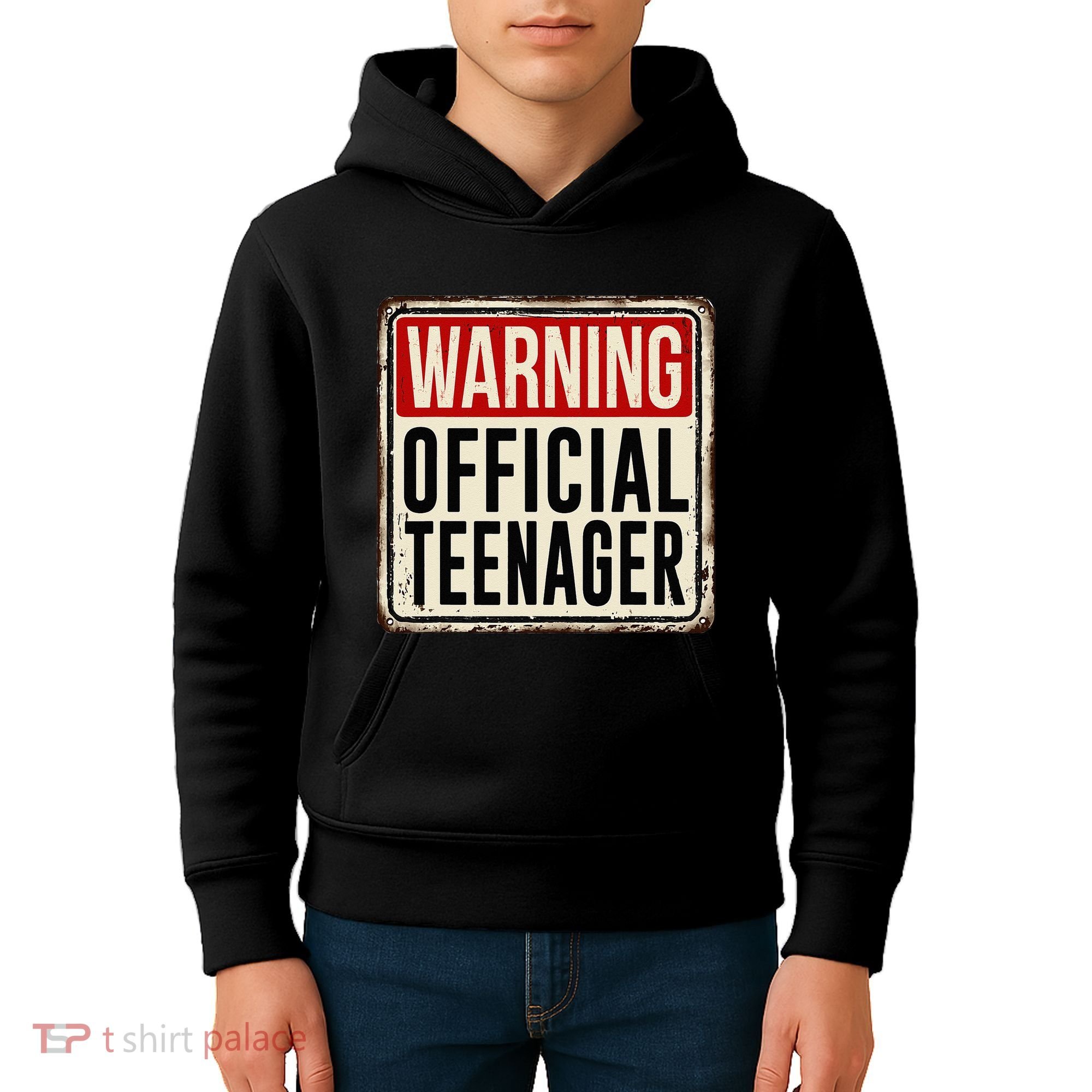 Teenager 13th Birthday Gift 13 Year Old Kids Hoodie