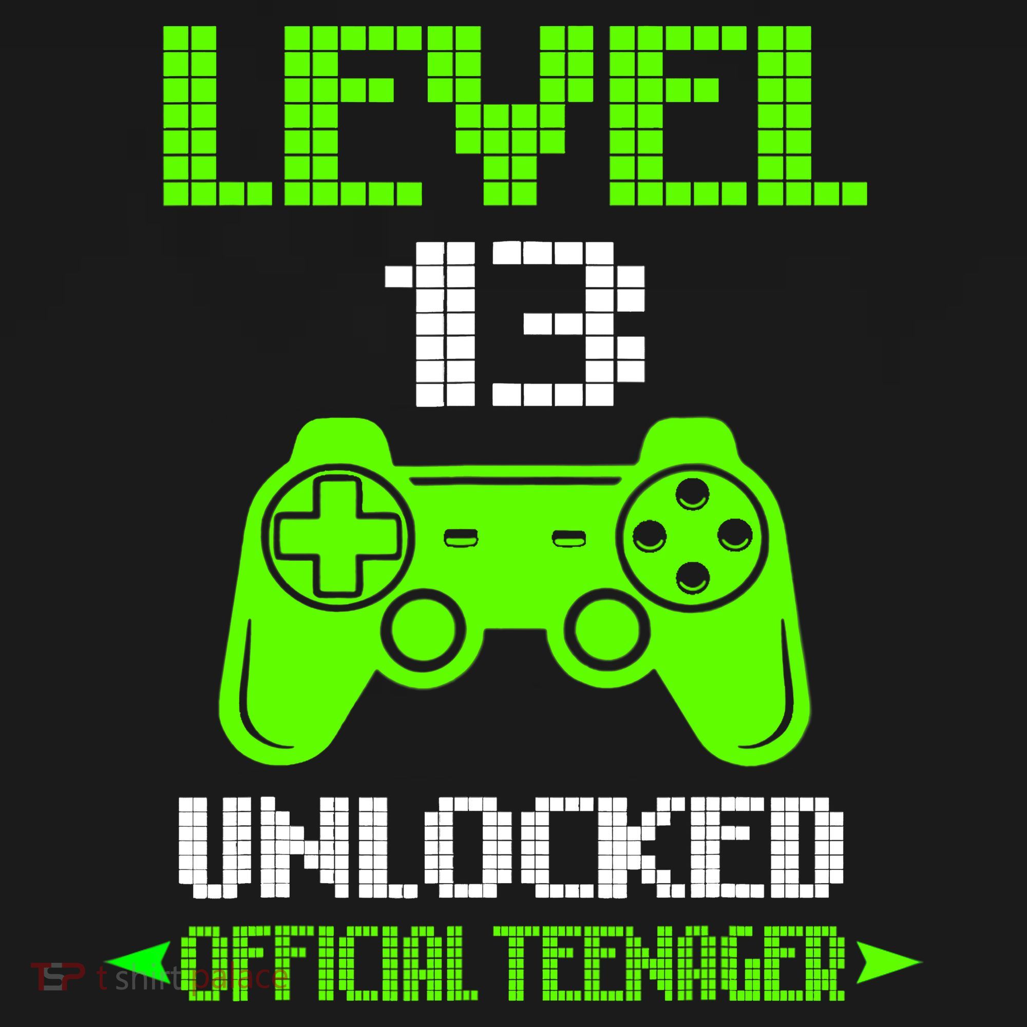 Teenager 13th Birthday Boy Level 13 Unlocked Long Sleeve Shirt
