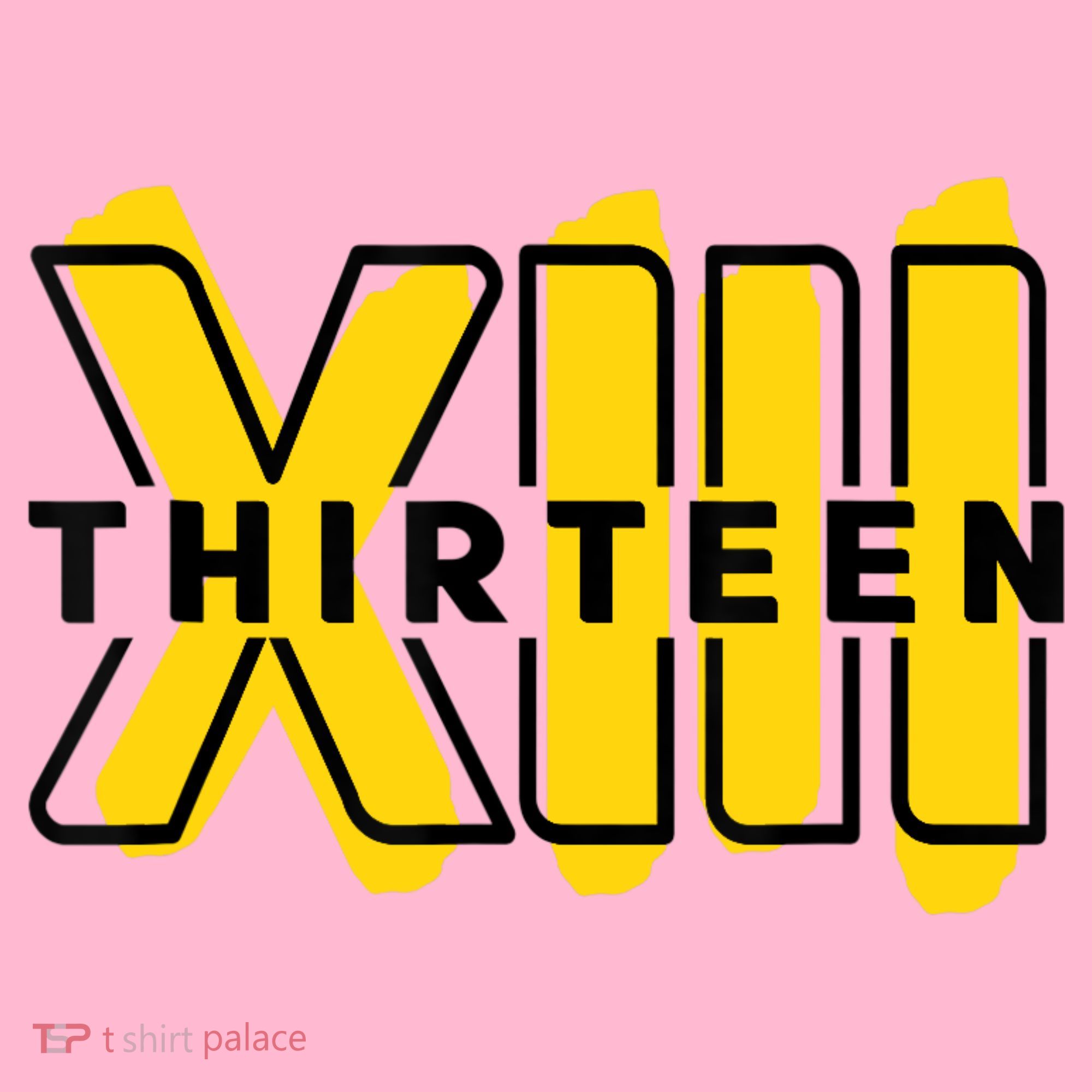 Teenager, 13th Birthday Officially XIII Coaster