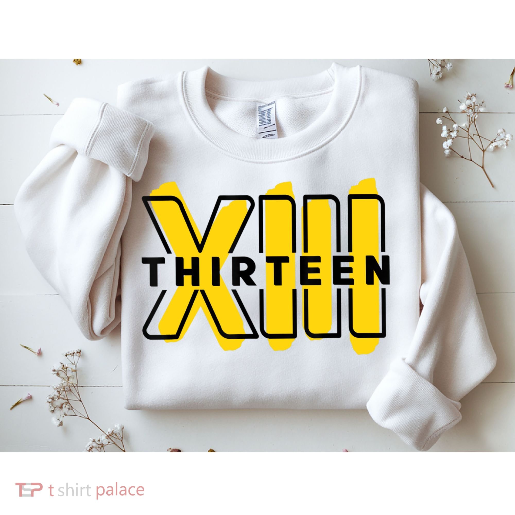Teenager, 13th Birthday Officially XIII Sweatshirt