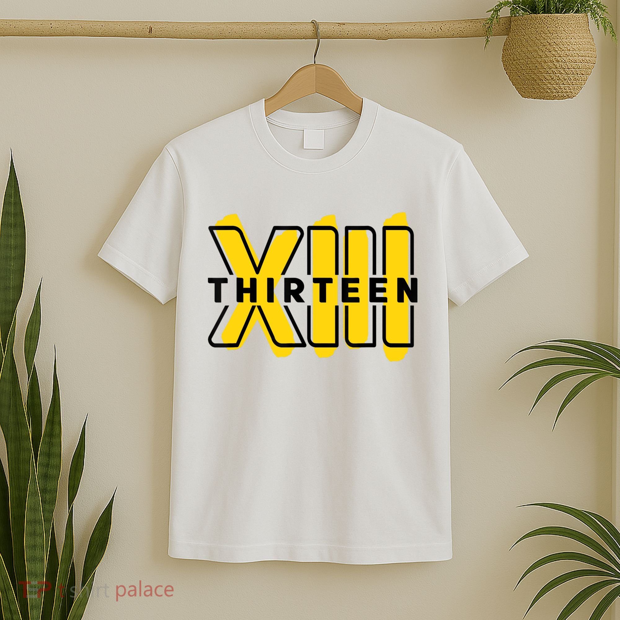Teenager, 13th Birthday Officially XIII T-Shirt