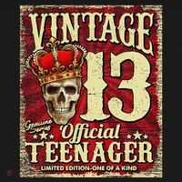 Teenager 13th Limited Edition 2009 13th Birthday Hoodie thumb 2