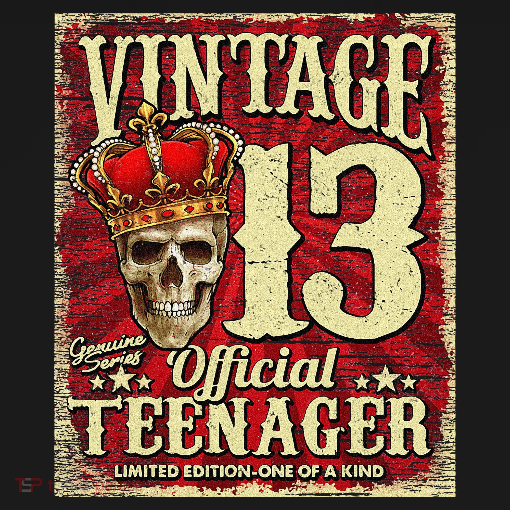 Teenager 13th Limited Edition 2009 13th Birthday Visor