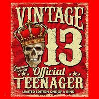 Teenager 13th Limited Edition 2009 13th Birthday Santa Hat thumb 1