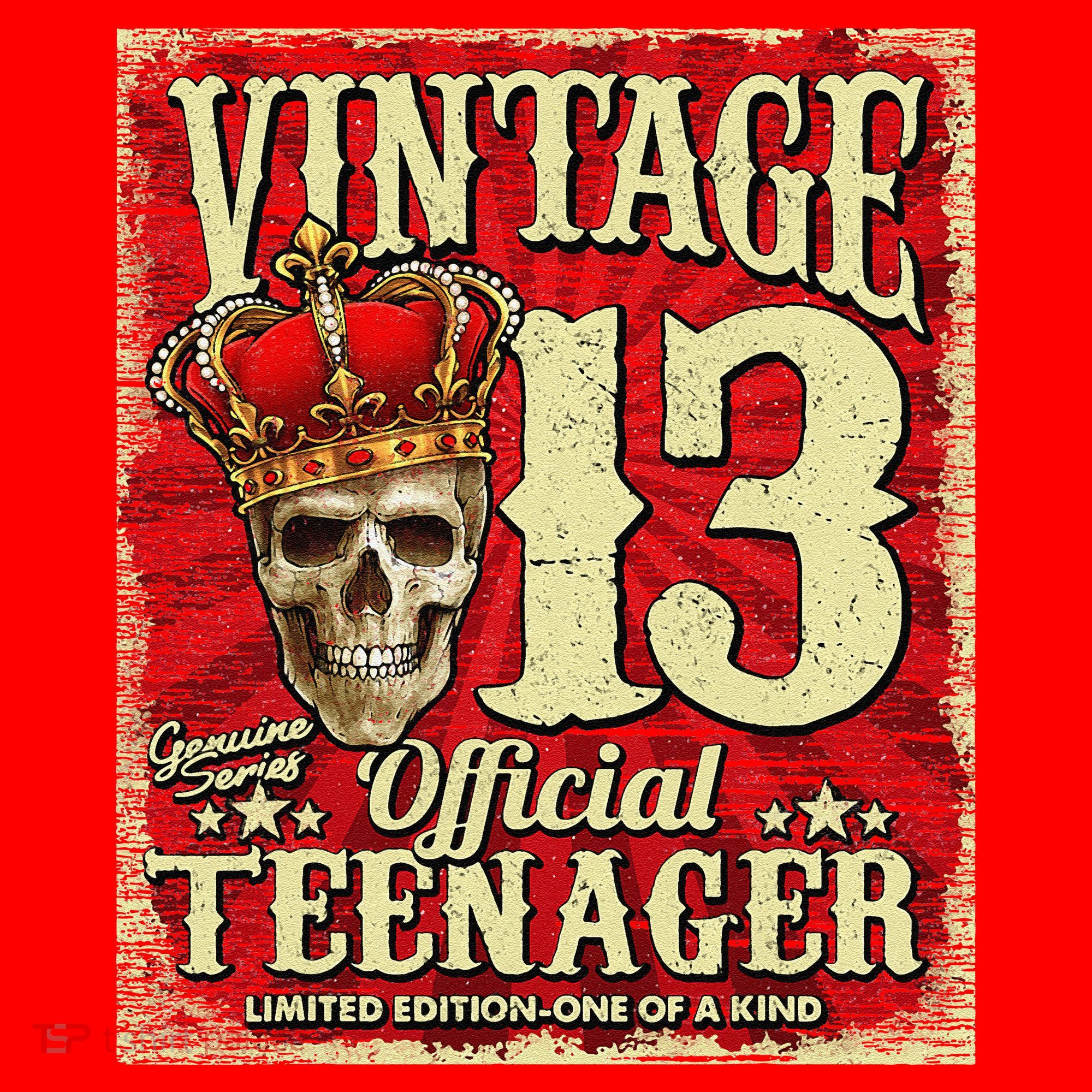 Teenager 13th Limited Edition 2009 13th Birthday Santa Hat