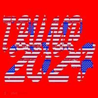 Trump 2024 American Grunge Style Santa Hat thumb 1