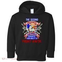 The 2nd Amendment Guarantees Your Ability To Fight Back Toddler Hoodie thumb 0