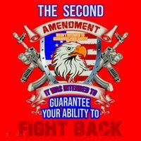 The 2nd Amendment Guarantees Your Ability To Fight Back Santa Hat thumb 1