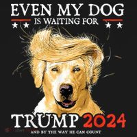Trump 2024 Even My Dog Is Waiting For Trump 2024 Women's Hoodie thumb 2