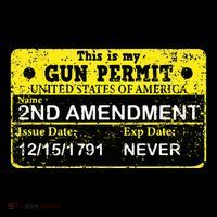 The 2a Is My Gun Permit Proud American Pro 2nd Amendment Women's Hoodie thumb 2