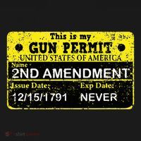 The 2a Is My Gun Permit Proud American Pro 2nd Amendment Ornament thumb 1