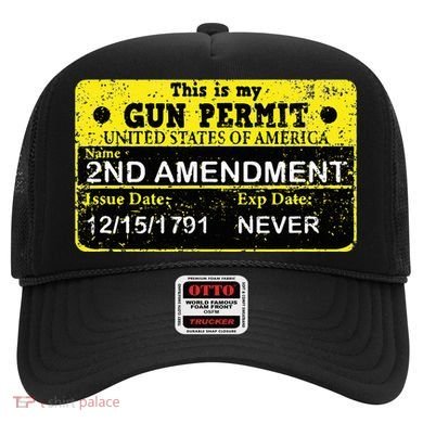 The 2a Is My Gun Permit Proud American Pro 2nd Amendment Hat