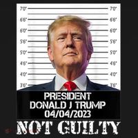 Trump 2024 Mugshot President Free Donald Trump Not Guilty Women's Tank Top thumb 5