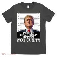 Trump 2024 Mugshot President Free Donald Trump Not Guilty T-Shirt thumb 0