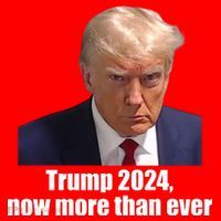 Trump 2024 Now More Than Ever Long Sleeve Shirt thumb 2
