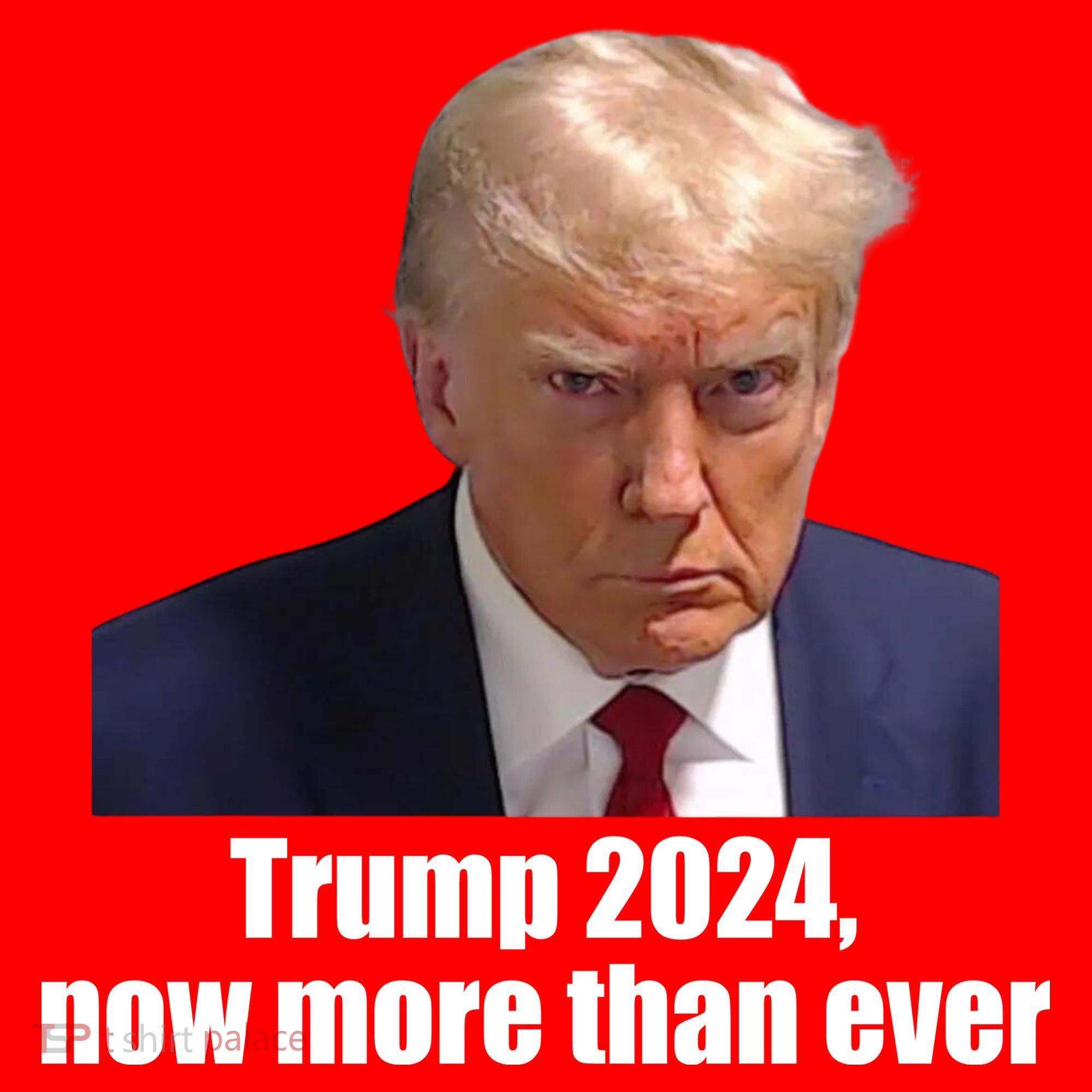 Trump 2024 Now More Than Ever Sweatshirt